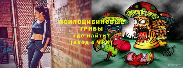 МДПВ Алексеевка