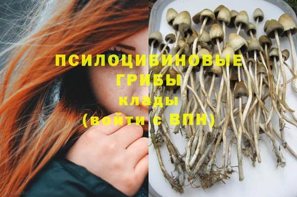 МДПВ Алексеевка