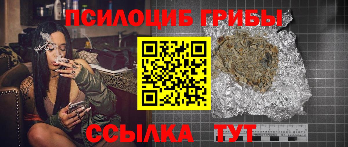 Галлюциногенные грибы Psilocybine cubensis Кольчугино